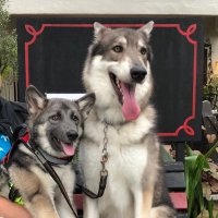 BOOM (@boom_0125) Twitter profile photo