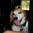rbrown4431's profile image