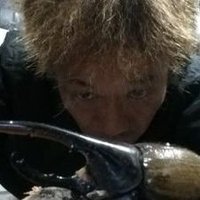TOP GUN (@10pgun) 's Twitter Profile Photo TOP GUN (@10pgun) 's Twitter Profile Photo