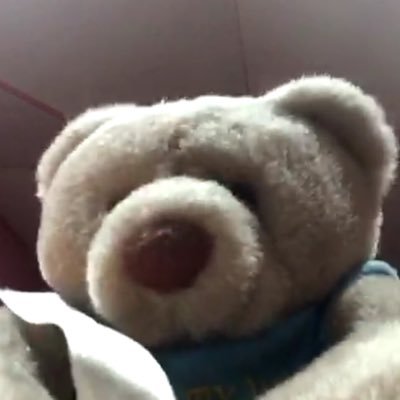 jesse_beaarr's profile picture. 