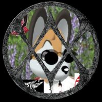 ぱとらっしゅDeath (@reds_no1) 's Twitter Profile