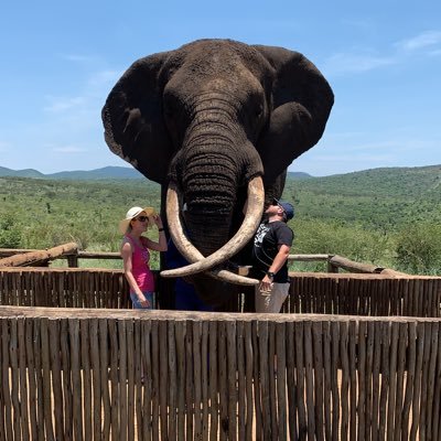 Jeff_geldenhuys's profile picture. 