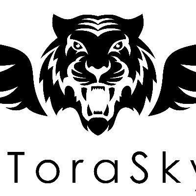 ToraSkyinc