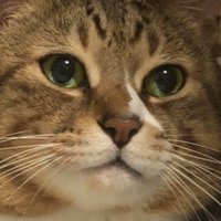 ユーリ (@wiro98wo2gxyoyr) 's Twitter Profile