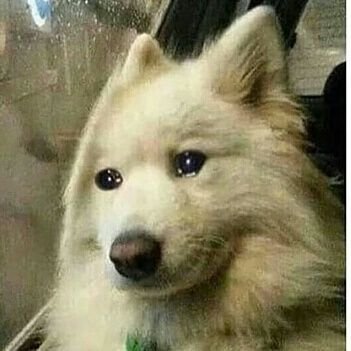 TadapArora's profile picture. 