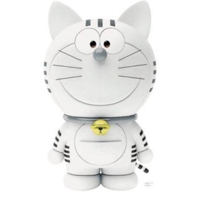 ss556656's profile picture. 