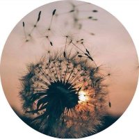 ماجد اليميني (@majedalymyny) Twitter profile photo