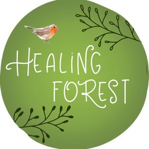 Explore fascinating forests and learn how to find calm, creativity, and clarity through nature. Our aim is simple. Helping people heal. Helping forests heal.