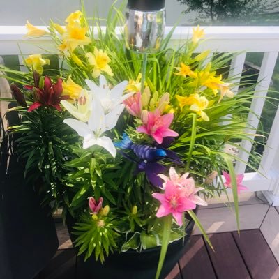 brodycamron's profile picture. 