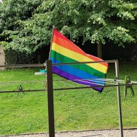 Alison Reynolds (@tig_irl) 's Twitter Profile