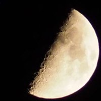 水樹慎 (@mizuki_shin42) Twitter profile photo