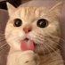 KITTY (@kitty_me69) Twitter profile photo KITTY (@kitty_me69) Twitter profile photo