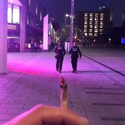 AnAsdb3's profile picture. 🕺🏽