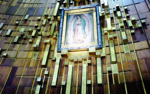 amarzing's profile picture. 