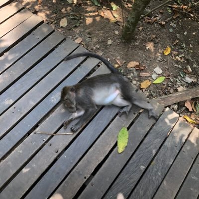 TheEngineer09's profile picture. Engineer | Hagen 🇩🇪 | #BVB ⚽️ & #GoPats 🏈 |✌🏼