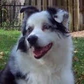 RichardGBlum1's profile picture. 