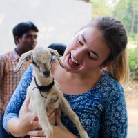 Dr. Kathryn Merckel (@krmerckel) 's Twitter Profile