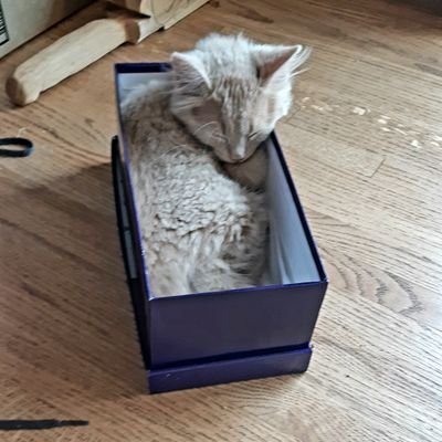 VictoriaGal6's profile picture. 