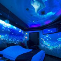 シンプルにおっぱい星人 (@oppoppsei) Twitter profile photo