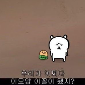 김써주さんのプロフィール画像