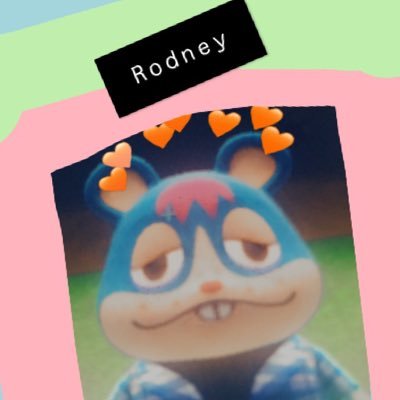 hi I'm Rodney! I'm that smug type who says le ham a lot..... so hmu if your bored cause this rod bod is open