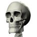 Unprofessional Skeleton (@skeltinader) Twitter profile photo Unprofessional Skeleton (@skeltinader) Twitter profile photo