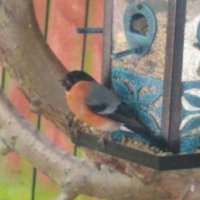 Brian Balfour (@brianbalf1959) 's Twitter Profile Photo