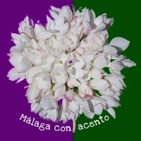 Málaga con acento(@Malagaconacento) 's Twitter Profile Photo