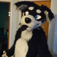 PupprPeppr (@pepprad) 's Twitter Profile