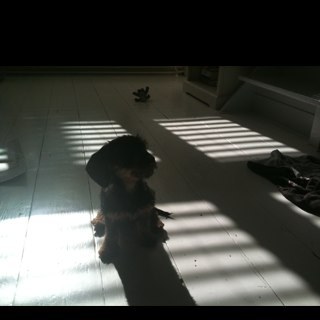 skastelein's profile picture. We turn not older with the years, but newer every day