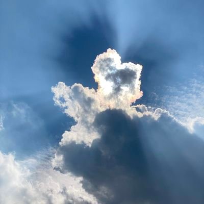 firecrest5's profile picture. 