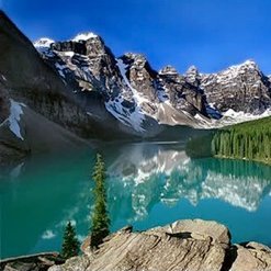 MrVeronese's profile picture. Public School Teacher @yyCBEdu. I believe in education's unique ability to inspire values of acceptance, tolerance, respect, and resilience.