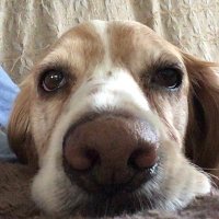 jules (@jules44044597) 's Twitter Profile Photo jules (@jules44044597) 's Twitter Profile Photo