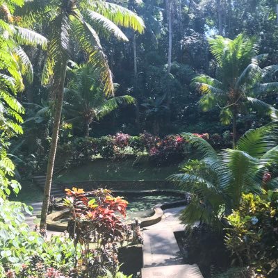 maia_rnd's profile picture. 