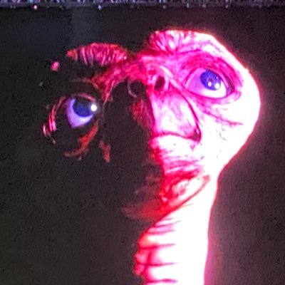 carrijeirajack's profile picture. observador