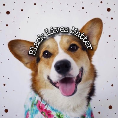 ˢʰᵒʳᵗ & 𝕗𝕝öö𝕗𝕪 | Follow to own .0001% of @PavlovTheCorgi & Maslow | Content by @PAVDAD & @tramelayne | SUBSCRIBE for bonus access ⤴️