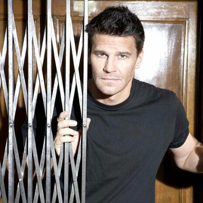 David Boreanaz been slaying since 1997 (and before) LOOK AT HIM 💗  - pretty pictures are here 
✨ [Fan account. No affiliation]