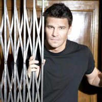 😍📷: David Boreanaz (fan page)(@BoreanazSlays) 's Twitter Profile Photo