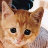 まきせさんのプロフィール画像