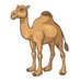 استطلاع الإبل (@camelsurvey) Twitter profile photo استطلاع الإبل (@camelsurvey) Twitter profile photo