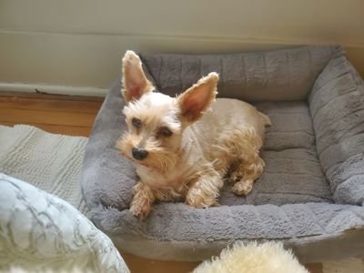 jrgilpin59's profile picture. 