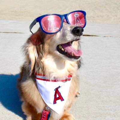 Every かわいすぎ Part2 大谷翔平 Shoheiohtani Ohtani Angels Laa