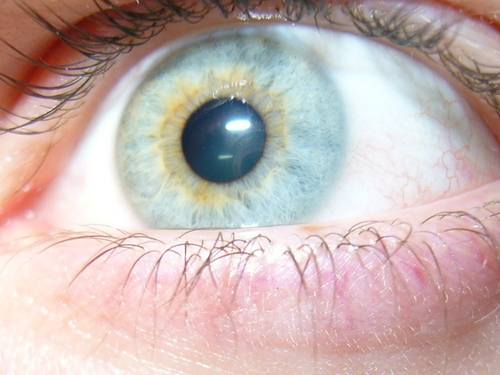 I_ofthestorm's profile picture. Psychologist, Meditator, Runner, Climber and eternal optimist. Chase your dreams. Live your present moment. Live your life.