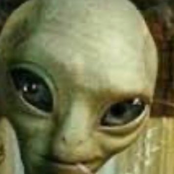 berbast1's profile picture. 