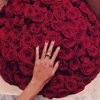 بنت سعود (@fatimahaleya) 's Twitter Profile Photo