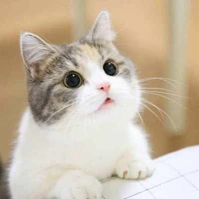 dozysleepy's profile picture. I want to tell you something Just you open your heart.