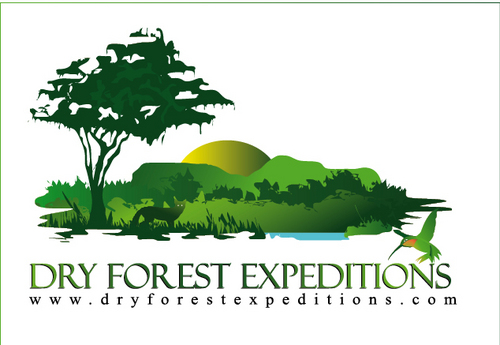 Dry Forest Expeditions es una empresa que brinda productos y servicios turísticos especializados gestionando las preferencias de nuestros clientes.