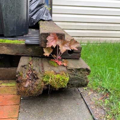 call_me_stupid8's profile picture. 1st Tank battalion, A co. USMC, E-4, Combat Veteran, 2nd Yr Apprentice plumber