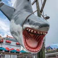 LV (@lulucornbread) 's Twitter Profile Photo