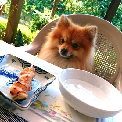 まなさんのプロフィール画像